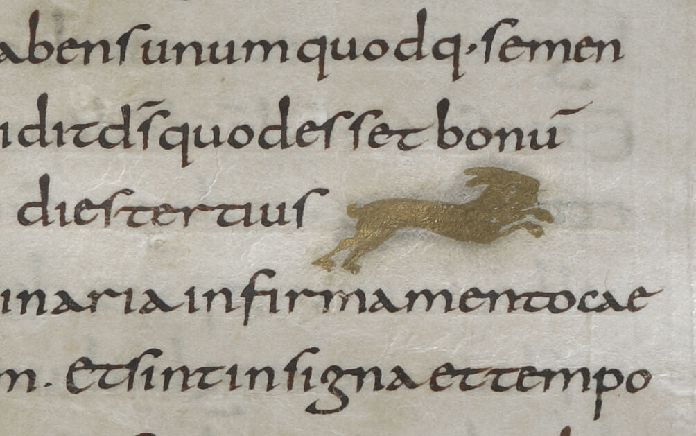 Hare Line Filler