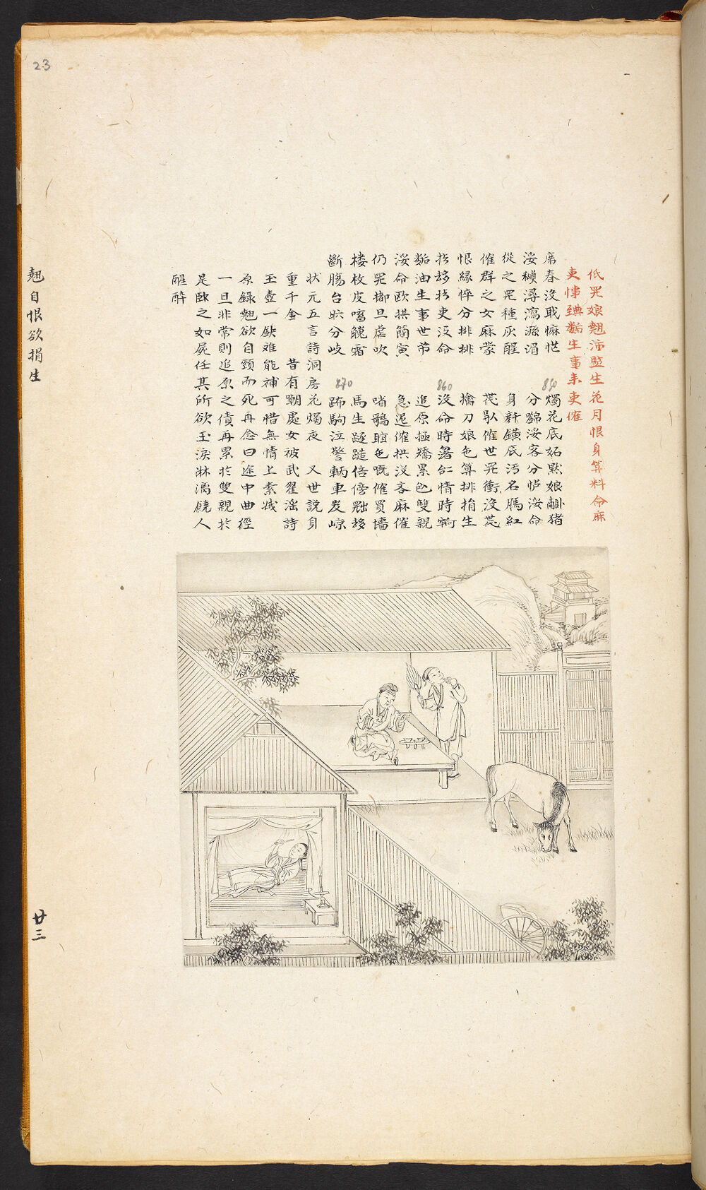Bản thảo Hoàng gia 1894 - f. 23r (Câu 981-1002)