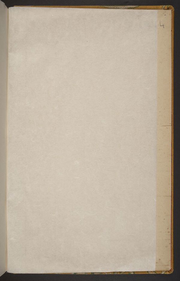 Front flysheet 2v