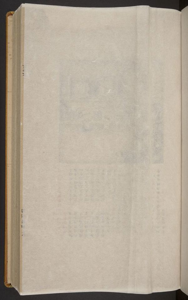 Back flysheet 1v